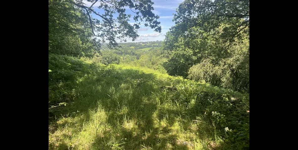 Property Image 0