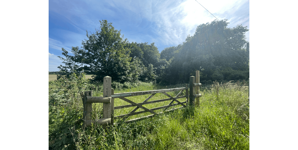 Property Image 0