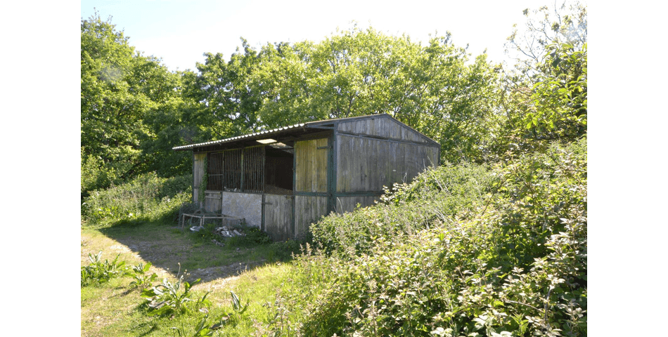 Property Image 40
