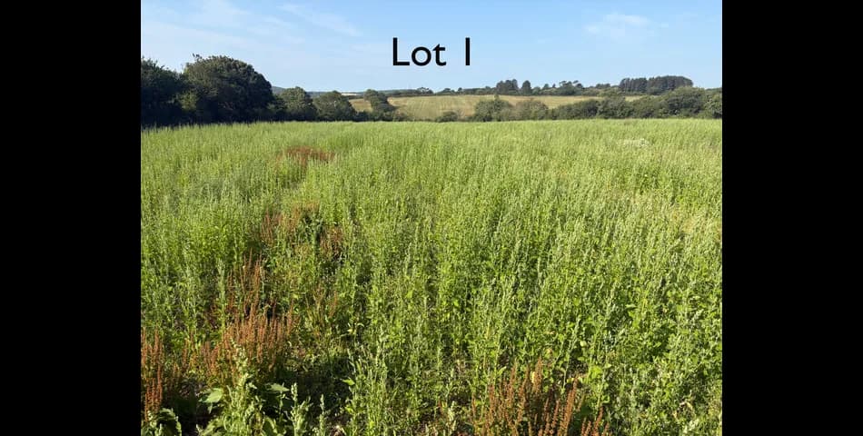 Property Image 0