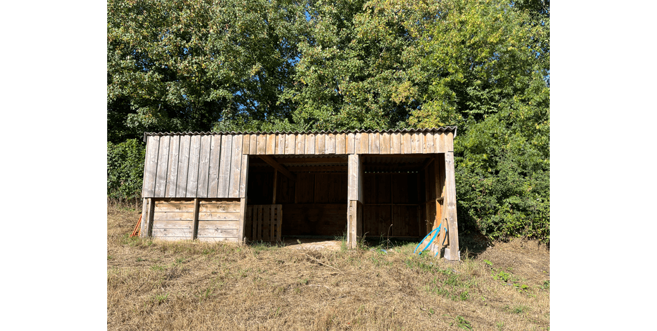 Property Image 38