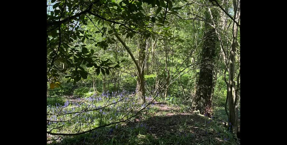 Property Image 0