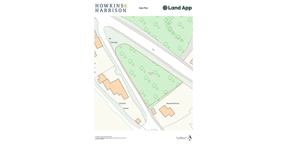Property Image 4