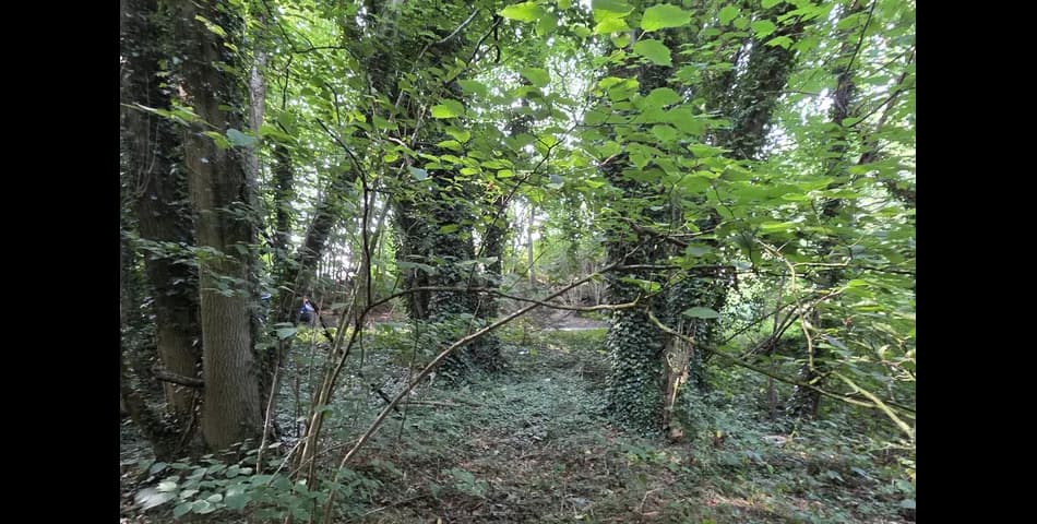 Property Image 0