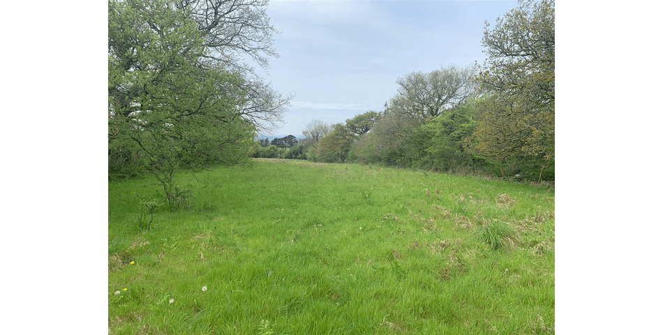 Property Image 0